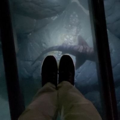 EnNy_RoSLi's profile picture. 