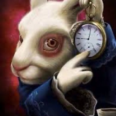 KotzenderKeks's profile picture. certified forklift operator