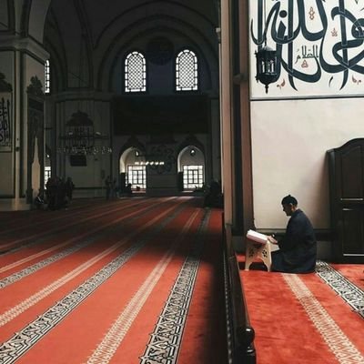 gehadelamir123's profile picture. غدًا نحكِي فصُولَ الصّبرِ والغُمّة
بأن قَد زالَت البلوىٰ، وصارَت قصّةً تُروي