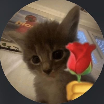 Kc_agent_el's profile picture. #freepalestine @solaluneoff