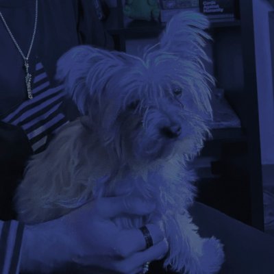 dmgamyi's profile picture. Canal de youtube emergente dedicado a los juegos de rol. Centrado en dar consejos y trucos para masters, jugadoras y jugadores #DnD #ttrpg