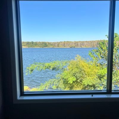 DavidGo361's profile picture. 