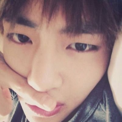 palletetee's profile picture. 