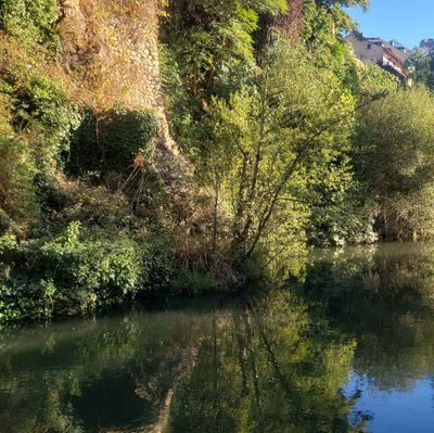 molamucho276775's profile picture. 