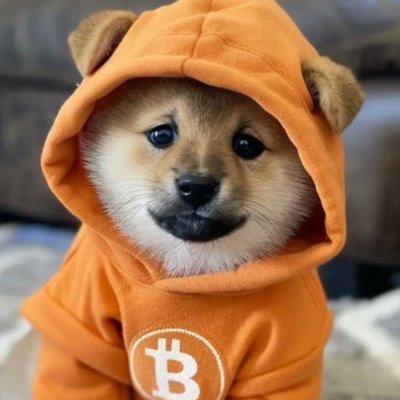 RamonaGazdac's profile picture. Price is just energy in motion.  Macro & micro moves.
Don't follow hype, follow momentum. Everything's a cycle, even you.