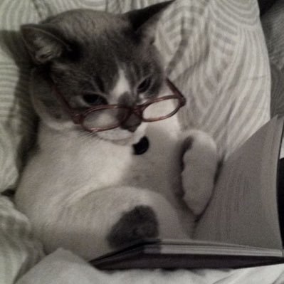 unforgivy's profile picture. 