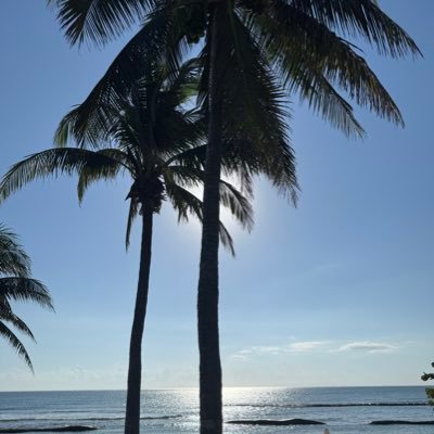 Precise_win's profile picture. 