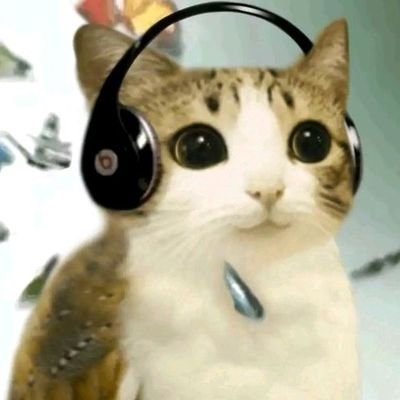 bebeldocreu4's profile picture. 