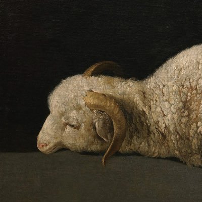 hoovesfortoes's profile picture. future author | untitled autobiography to be published soon | repost ≠ endorsement | non-jewish ally to israel