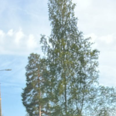 Aamu4616295l's profile picture. 20m looking to get wallet drained 🥵💸