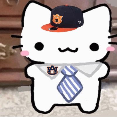 JR13MANIA's profile picture. he/him ( high school freshman) auburn fan 🥹 14 black
  #WeAreTheKrewe| #DubNation| #RayUp| #GoBolts