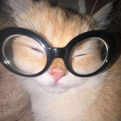 Aqn0_'s profile picture. 19y