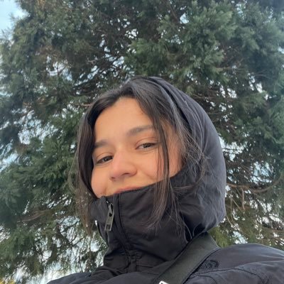 bibalvess's profile picture. inconsistente