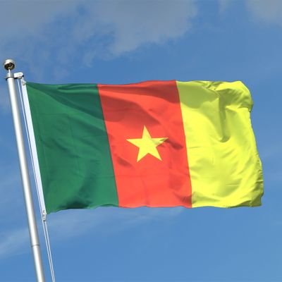 lucienbodo's profile picture. Journaliste, Blogueur, #TEAM237 #TeamKpakum❤️💚❤️💚