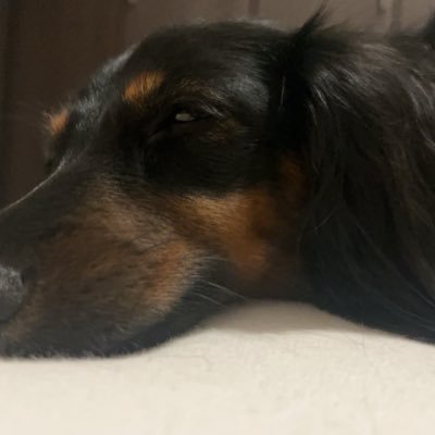 mihoko_216's profile picture. 女風ユーザー初心者です🔰 情報収集/推しピ探し中/ユーザーさんと繋がりたい/無言フォロー失礼します🙇