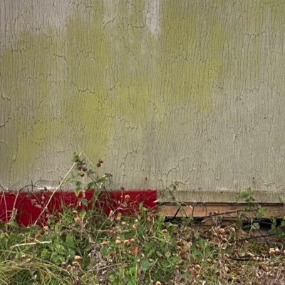 oogababababgogo's profile picture. my personal diary at this point mahn