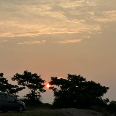 sanchyan23's profile picture. 