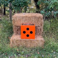 𝐉𝗼𝐳𝐞𝐟 𝐁𝐚𝐥𝐳𝐚𝐧𝗼 𝐉𝐫 #🚐🚙✉️ (@usps44) 's Twitter Profile Photo