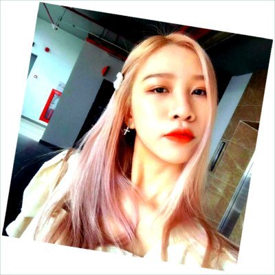 SalvatoreW63800's profile picture. 