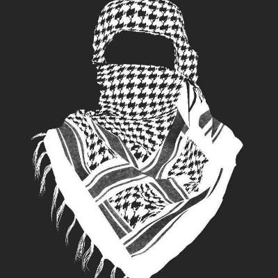 ayanasserr862's profile picture. ليسانس لغة عربية ، جامعة الأزهر