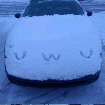 noruruz's profile picture. 허리띠의 피격 판정 프레임을 전부 외워, 아버지의 채찍질을 단 한대도 맞지 않고 전부 피하게 된 것이다.