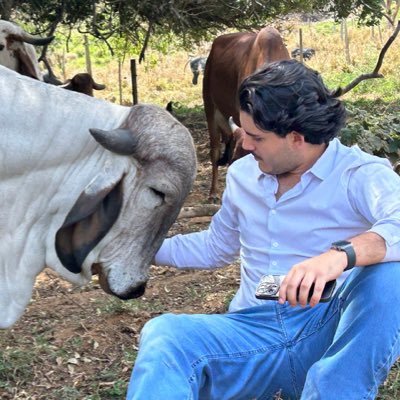 vercesi9's profile picture. @palmeiras 🇳🇬