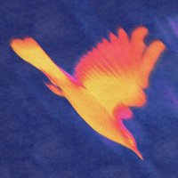 Esneider (@epolar02) 's Twitter Profile Photo