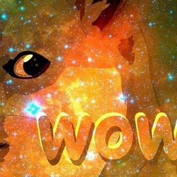 D0gcoin_empire's profile picture. Russian-American🇷🇺🇺🇸
, thank you for being
here // sarcastic and positive // i follow back subscribers // nfa