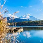 SoyabPatel74108's profile picture. crypto