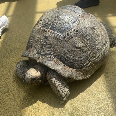 Mevius11_11's profile picture. 