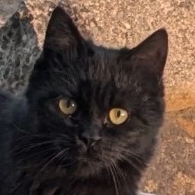 matsu0da's profile picture. 