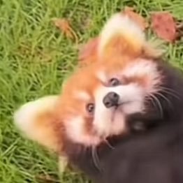 Aeoxyz's profile picture. 