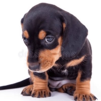 camilazoca's profile picture. miss hospital mental da messejana 2024-25