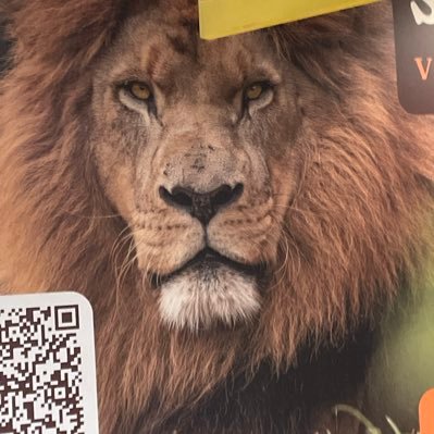 Joaovitovesa's profile picture. 😂