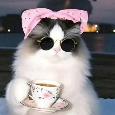 LunaBrisaLC's profile picture. amante de la música y la vida