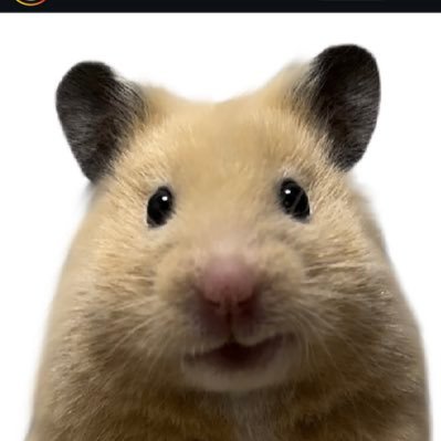 azngoonerpenis's profile picture. filo gooner | mlm | new accnt