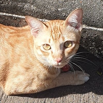 Earthzkk1's profile picture. https://t.co/QBDbJIhWkb
L5878UU9
@switchboardxyz