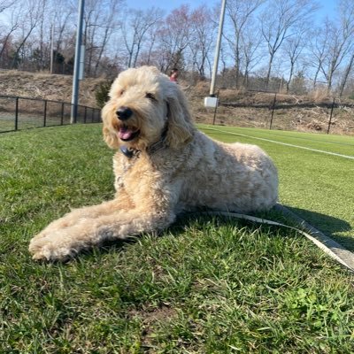 jc1gpd02132's profile picture. 