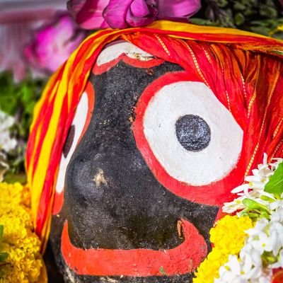 Debasishmahak17's profile picture. 