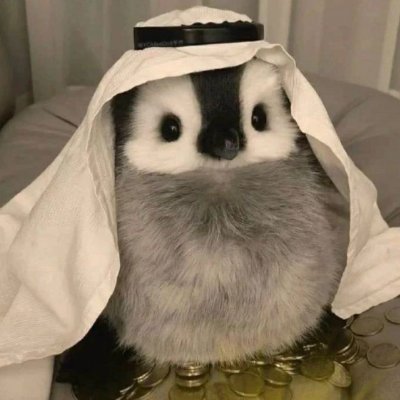 mstzera's profile picture. a winner is just a loser who tried one more time

https://t.co/qaix7ezwmK
https://t.co/uGnCdvJHaO