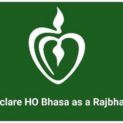 dambarudha53349's profile picture.