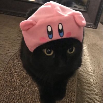 jingletea's profile picture. 🐋