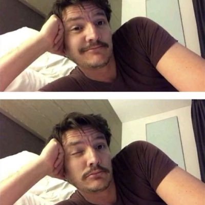 pcscalisms's profile picture. new acc, not new to twt