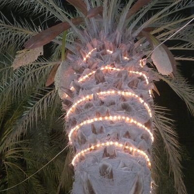 SadiaPiscesPmln's profile picture. 