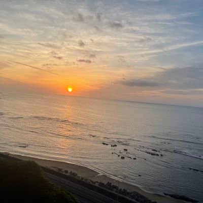 FXrGfSevQrI8XxX's profile picture.