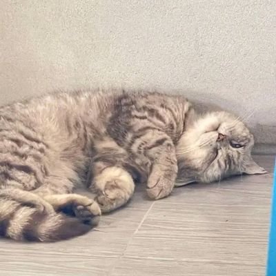 Blackgraph2000's profile picture. 