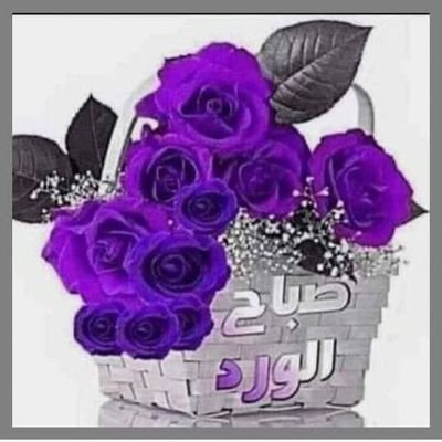 AdnAmun62648's profile picture. مظهري رجولي 30سنه طول 170وزن 60