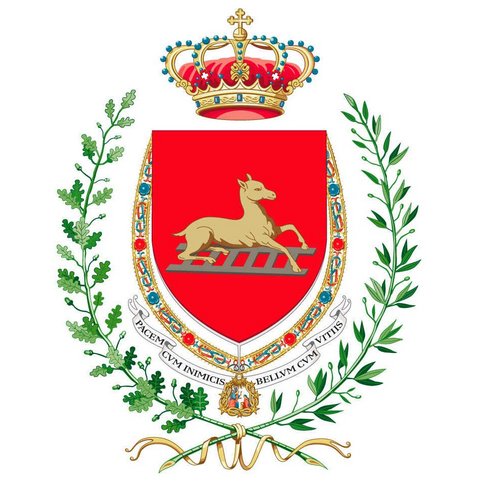 CITTA' VENARIA REALE