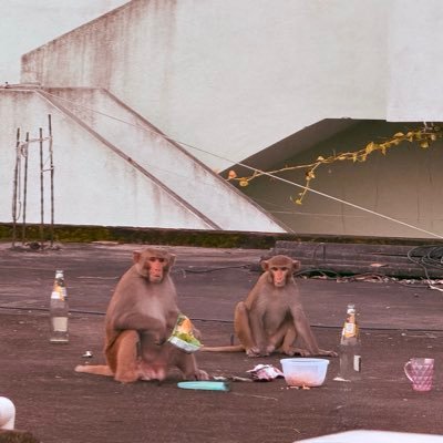 _Sudheerm18's profile picture. champions 2025 🏆❤️