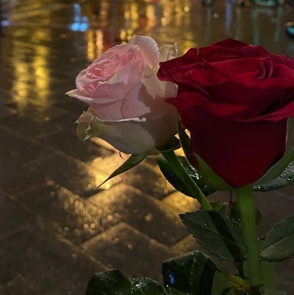 ShillaSmitk4yl's profile picture. 